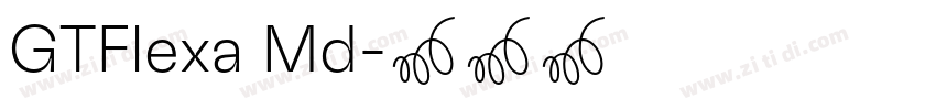 GTFlexa Md字体转换